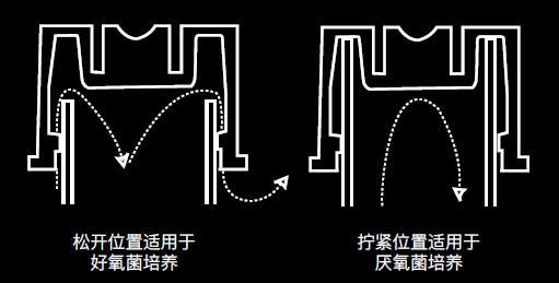 双凸位盖培养管, 双凸位盖培养管 供应